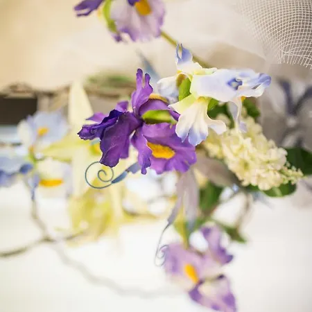 Caraibi Римини