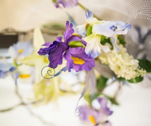 Caraibi Римини