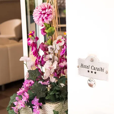 Otel Caraibi 3*