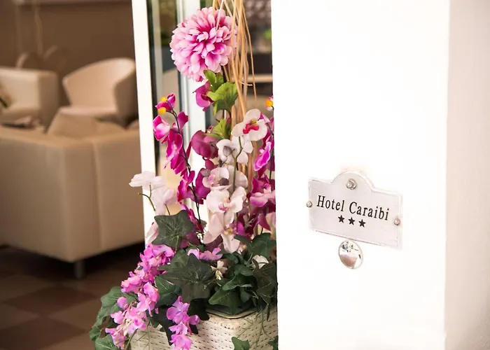 Hotel Caraibi 3*